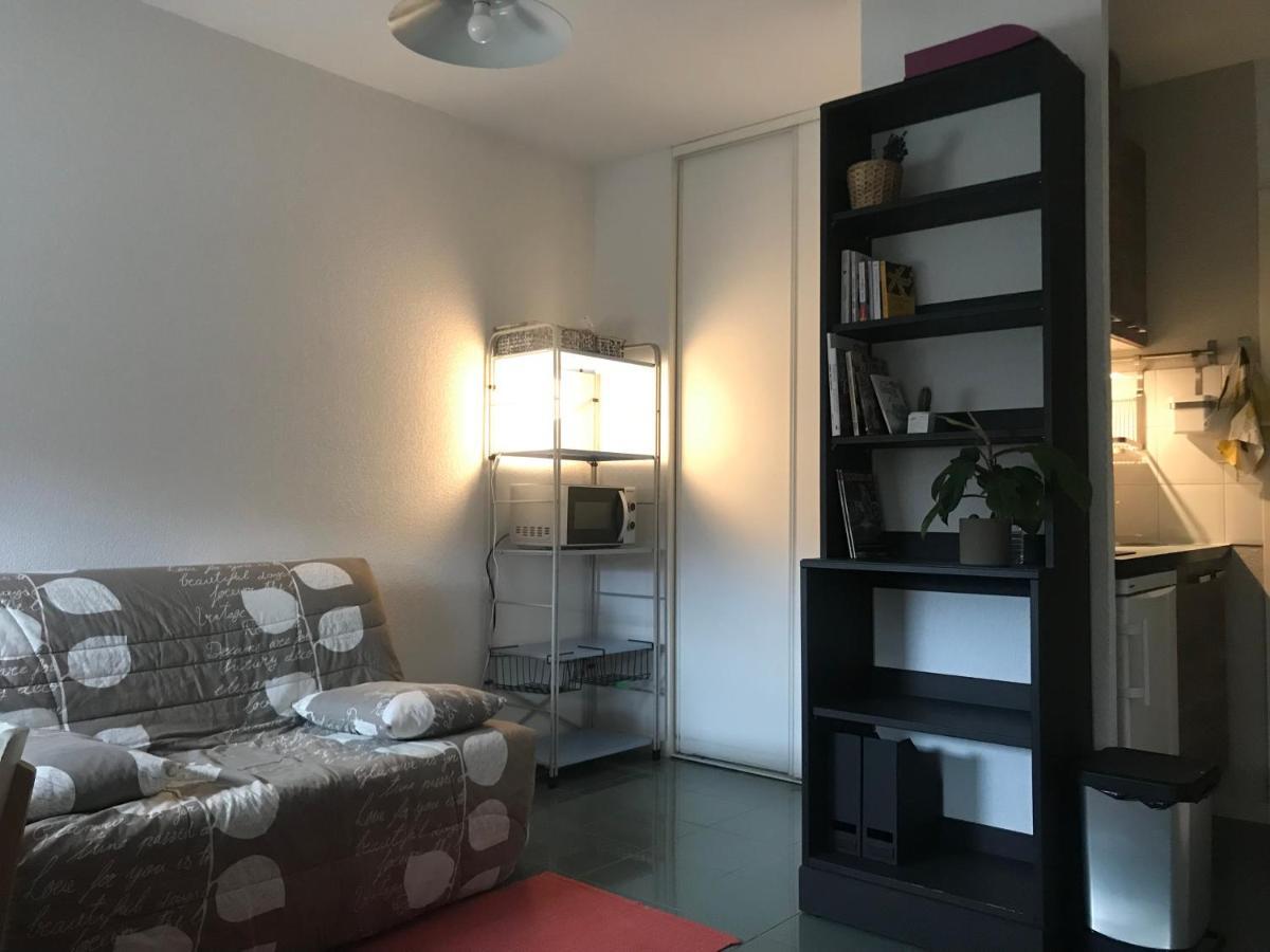 Appartement Dans Toulouse Hyper Centre Kültér fotó